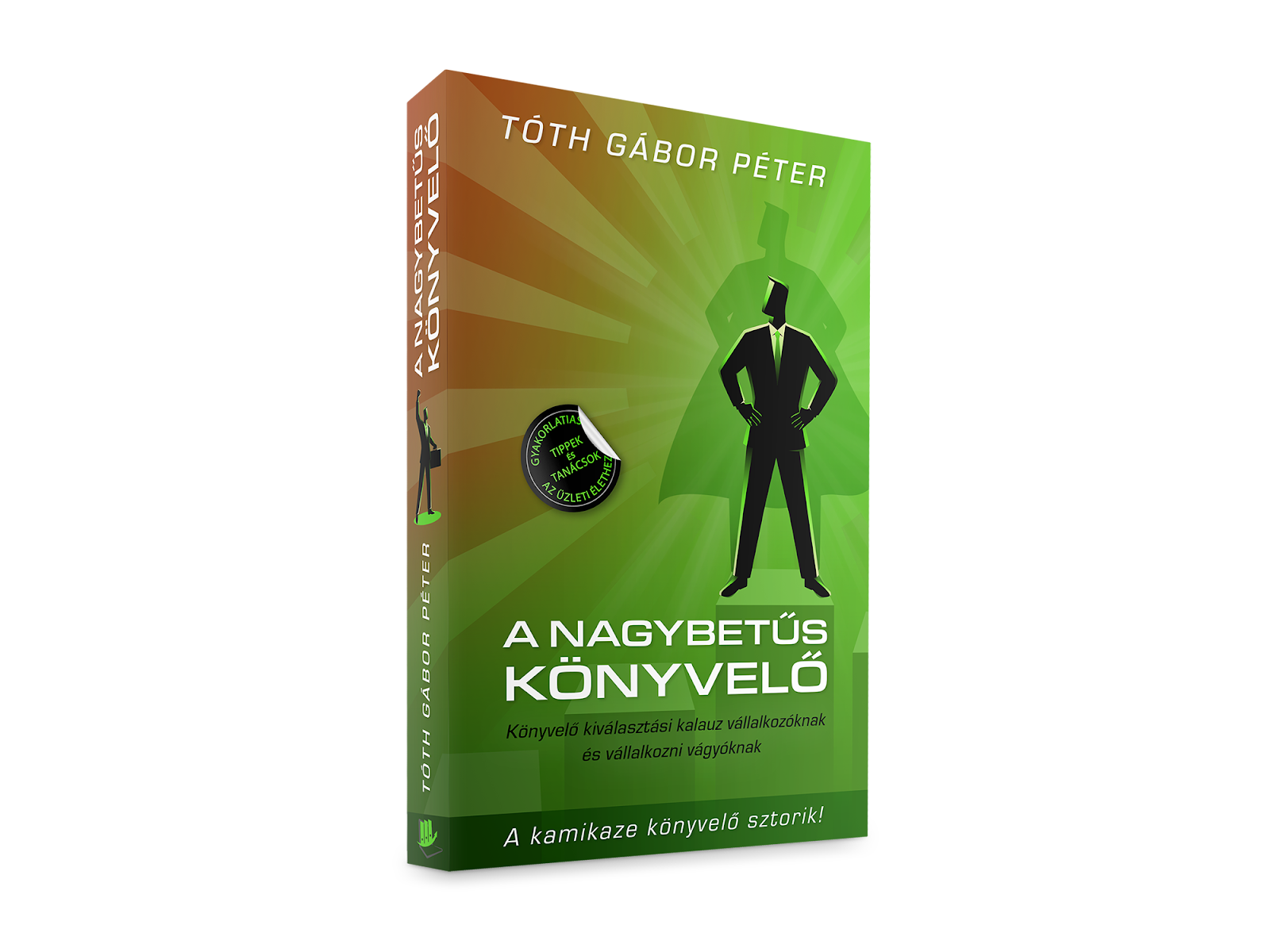 A NAGYBETŰS KÖNYVELŐ - üzleti könyv